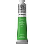 Winsor & Newton Winton Oil Colour 200ml Permanent Green Light