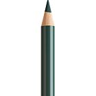 Kleurpotlood FC Polychromos 165 juniper green  