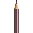 Kleurpotlood FC Polychromos 176 Van Dyck Brownn