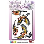 Studio EELZ Clear Stamps Secrets of Nature 1 Glamorous Goldfinch