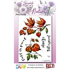 Studio EELZ Clear Stamps Secrets of Nature 1 Pretty Physalis