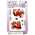 Studio EELZ Clear Stamps Secrets of Nature 1 Squeacky Squirrel