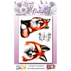 Studio EELZ Clear Stamps Secrets of Nature 1 Fabulous Fox