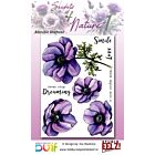 Studio EELZ Clear Stamps Secrets of Nature 1 Adorable Anemone