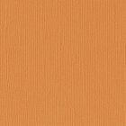 Florence cardstock texture 12x12" 216gram apricot