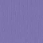 Florence cardstock texture 12x12" 216gram purple