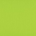 Florence cardstock texture 12x12" 216gram lime