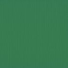 Florence cardstock texture 12x12" 216gram grasshopper