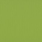 Florence cardstock texture 12x12" 216gram pistachio