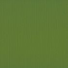 Florence cardstock texture 12x12" 216gram olive