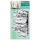 Penny Black slapstick/ Cling stamp FEATHERY 