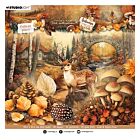 JMA Collage Paper Pad Backgrounds & elements Autumn In The Woods nr. 386