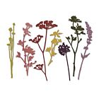Sizzix Tim Holtz - Thinlits Wildflowers
