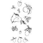 Sizzix Clear Stamp Set Botanical Fruit 19pcs 