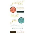 Framelits Die w/Stamps by 49 and Market Thankful Sentiments (11+4pcs) (666708)