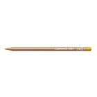 CARAN D'ACHE LUMINANCE KLEURPOTLOOD RAW SIENNA 036