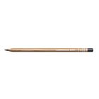 CARAN D'ACHE LUMINANCE KLEURPOTLOOD SLATE GREY 495