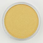 PanPastel Metallic Light Gold 910.5