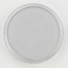 PanPastel Metallic Silver 920.5