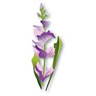 Memory Box Whimsical Gladiola craft die    