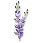 Memory Box Fanciful Gladiola Stem craft die   