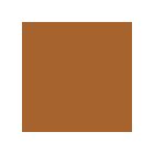 Brusho Individual Colour Pots Light Brown 15 gm