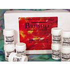 Brusho Starter pack assortiment 24 kleuren