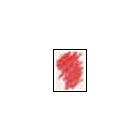 Derwent Coloursoft Potlood Rose
