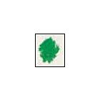 Derwent Coloursoft Potlood Green