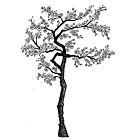 Lavinia Stamps Cherry Blossom Tree LAV015