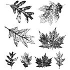 Tim Holtz Large Cling Rubber stamp Set Falling Leaves