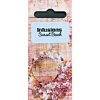 PaperArtsy Infusions Dye CS07 - Sunset Beach   
