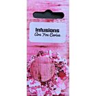 PaperArtsy Infusions Dye CS08 - Are You Cerise  