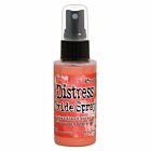 Tim Holtz Distress Oxide Spray Abandoned Coral 