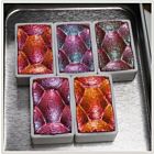 Skrim Watercolors set Royal Shifters Watercolor Set