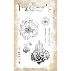 Tracy Evans Abutilon A6 Stamp (TE007)   