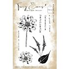 Tracy Evans Delight In Nature A6 Stamp (TE013) 