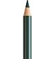 Kleurpotlood FC Polychromos 165 juniper green  