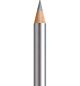 Kleurpotlood FC Polychromos 251 silver