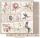 Maja Design Tropical Garden - Die cuts