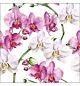 Servetten Elegant orchids white, 5 st