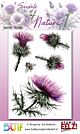 Studio EELZ Clear Stamps Secrets of Nature 1 Terrific Thistle