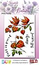 Studio EELZ Clear Stamps Secrets of Nature 1 Pretty Physalis