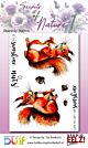Studio EELZ Clear Stamps Secrets of Nature 1 Squeacky Squirrel