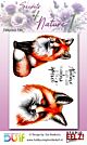 Studio EELZ Clear Stamps Secrets of Nature 1 Fabulous Fox