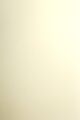 Papicolor papier A4 Paper Ivory pearl (331)