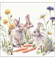 Servetten Carrot treat, 5 st