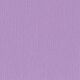 Florence cardstock texture 12x12