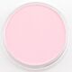PanPastel Permanent Red Tint 340.8