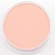 PanPastel Red Iron Oxide Tint 380.8